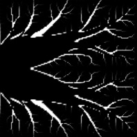 ��������: C:\Users\serg\YandexDisk\!! TOPOLOGY\�������\������\������\������������ ������� ��������� �� ����� (0.004)\��������� ������\50-40.jpg