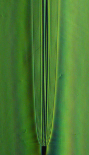 vlcsnap-2019-03-21-15h38m53s730.png