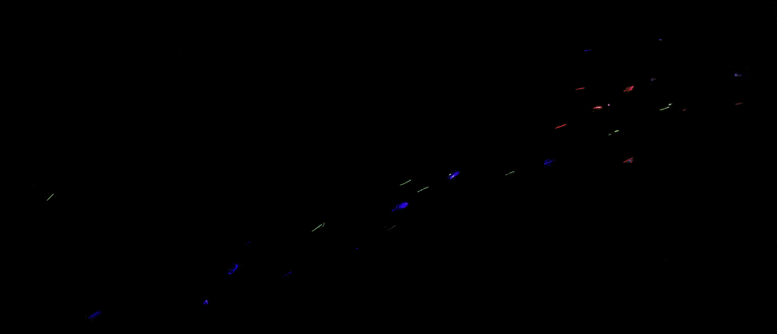exp1