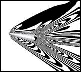 D(5)_250_2
