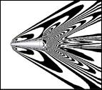 D(5)_250_2