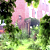 dem5_waveletdehaze.bmp