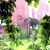 dem5_waveletdehaze.bmp